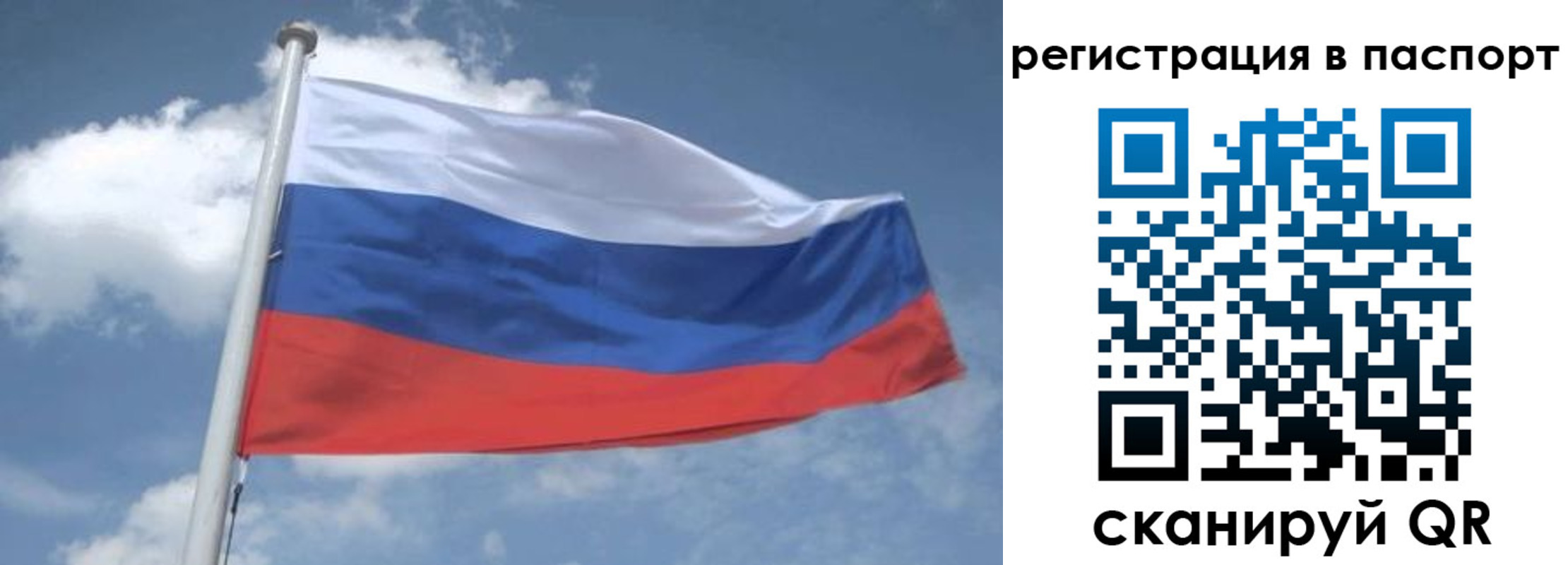 временная регистрация надежно в Бавлах